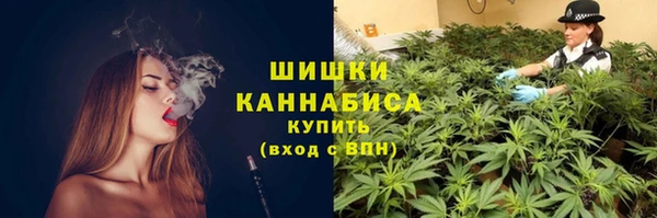 МДПВ Бронницы