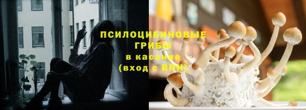 МДПВ Бронницы