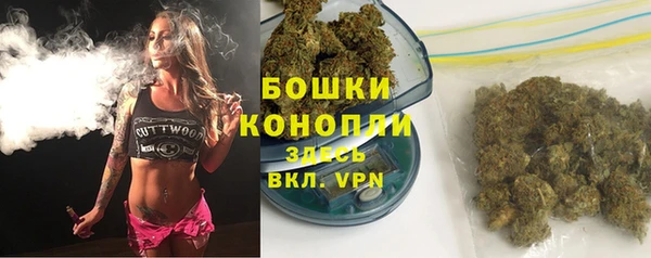 МДПВ Бронницы