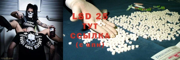 спайс Бородино