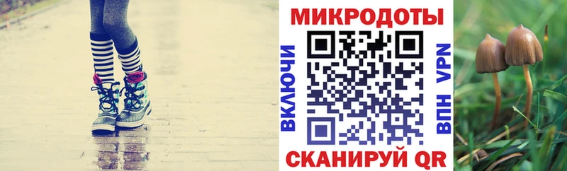 Псилоцибиновые грибы Psilocybine cubensis  закладка  KRAKEN зеркало  Кизляр 